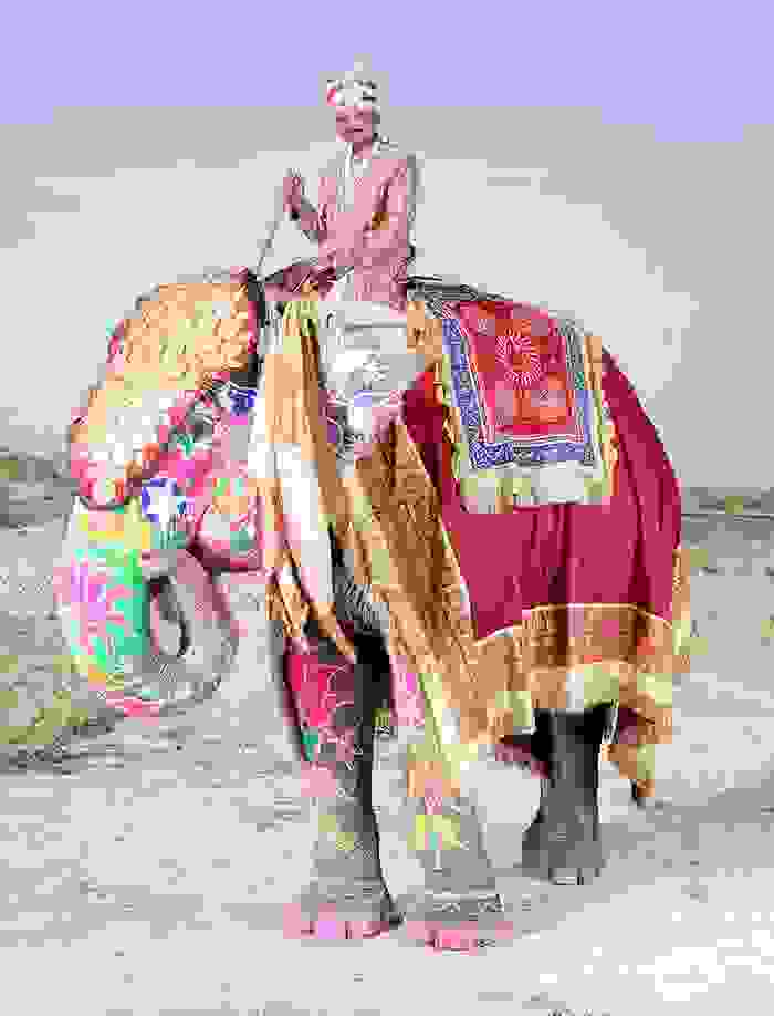 oi-zografismenoi-elefantes-tis-indias11