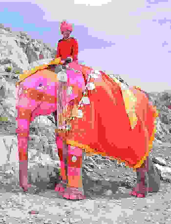 oi-zografismenoi-elefantes-tis-indias12