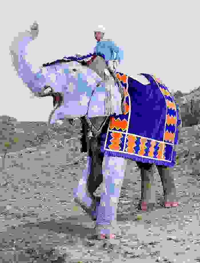 oi-zografismenoi-elefantes-tis-indias3
