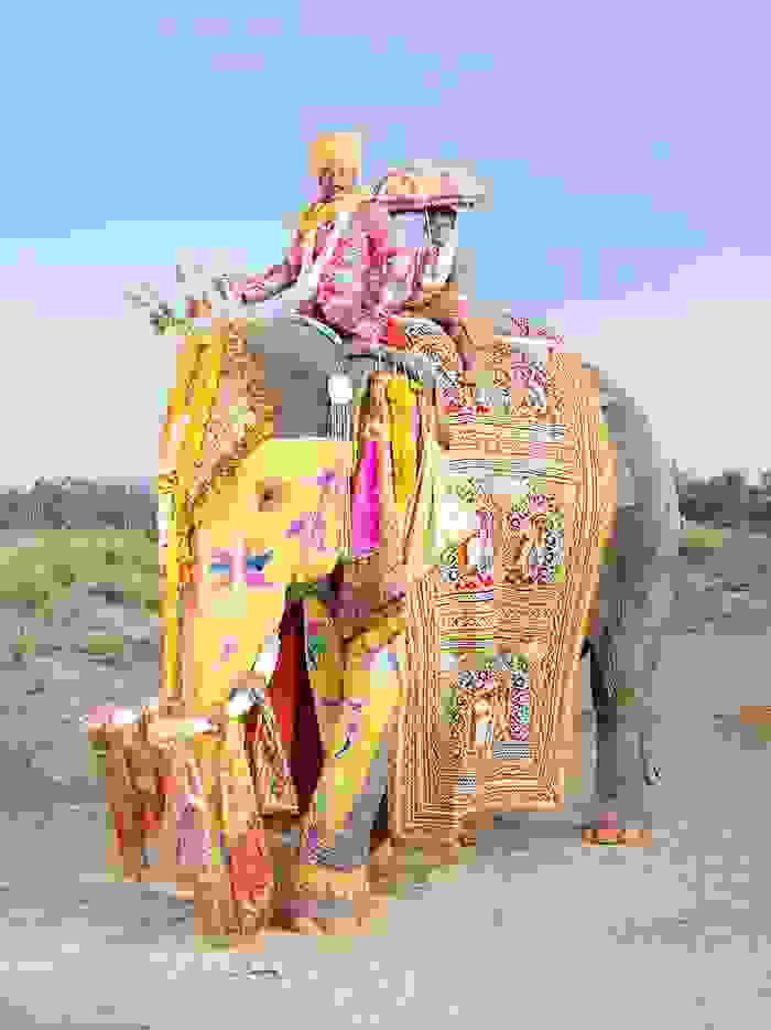 oi-zografismenoi-elefantes-tis-indias4