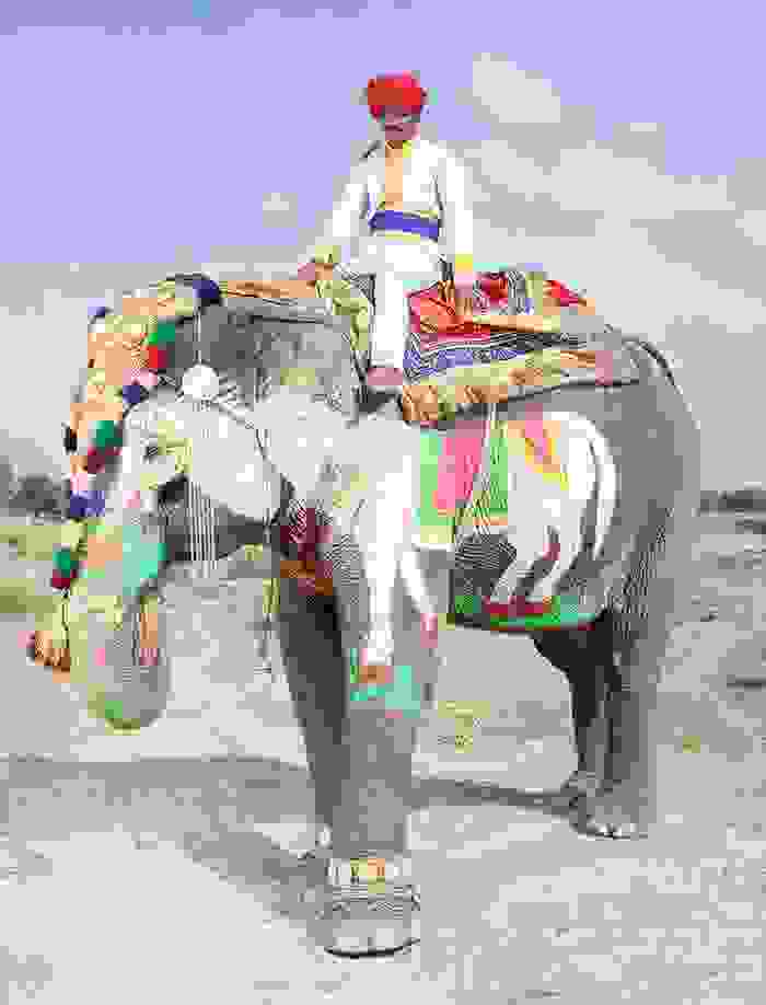 oi-zografismenoi-elefantes-tis-indias7