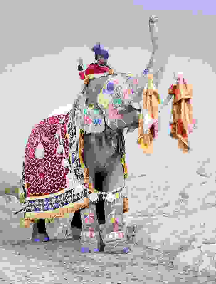 oi zografismenoi elefantes tis indias8