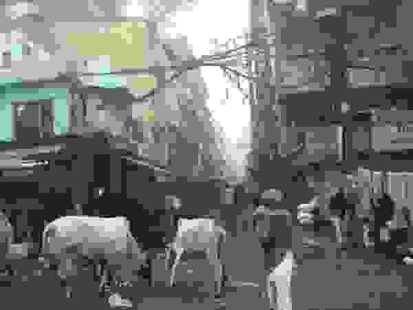 othet india1