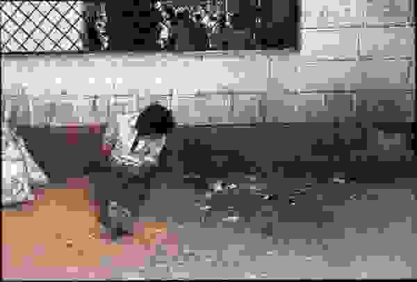 othet india41