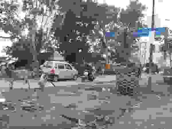 othet india52