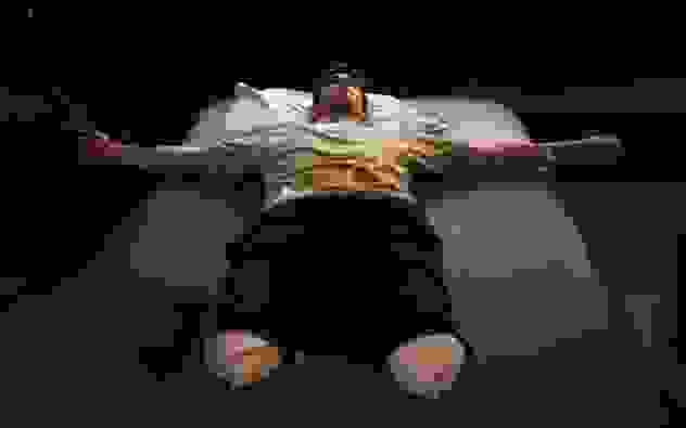 pulitzer-f
