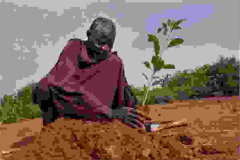 sawadogo-o-agrotis-pou-nikise-tin-erimo5