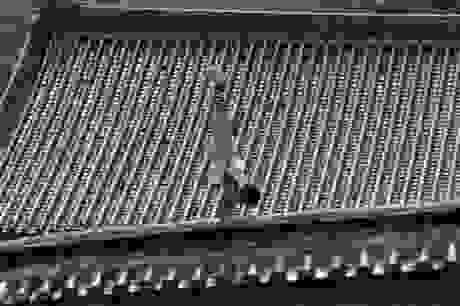 shaolin-monk-at-roof-edge