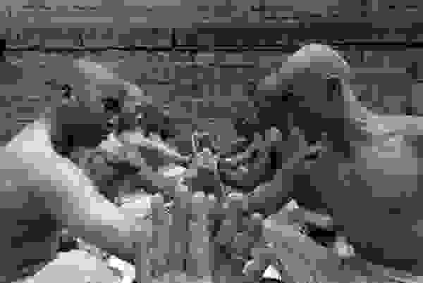 shaolin-monks-training-session-7