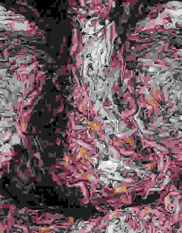 smetana3