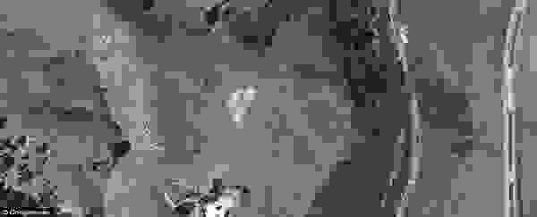 symbol2