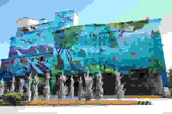 titan1