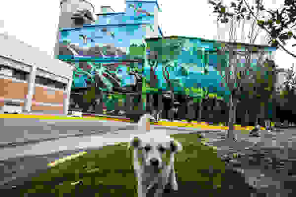 titan3