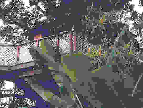 treehouse2