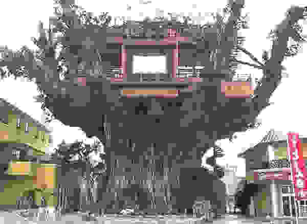 treehouse3