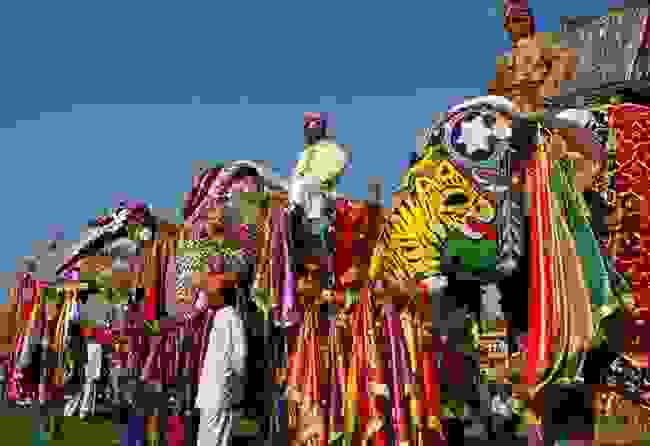 zografismenoi elefantes tis indias