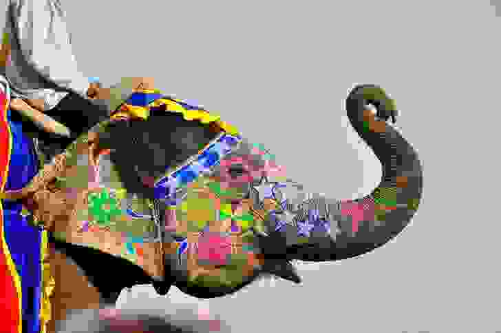 images/galllery3/zografismenoi-elefantes-tis-indias1