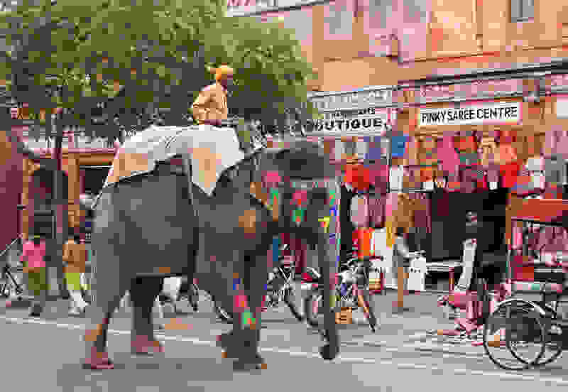zografismenoi-elefantes-tis-indias6