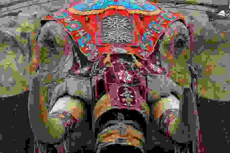 giantelephant-930x621.jpg