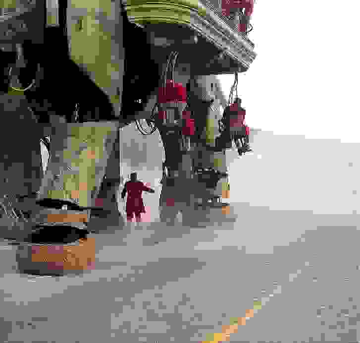 giantelephant4.jpg