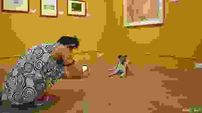 gone-to-the-dogs-00.jpg