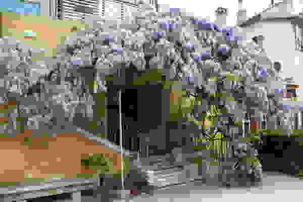grasse-i-poli-ton-louloudion-Museum-of-Perfume-Grasse-1.jpg