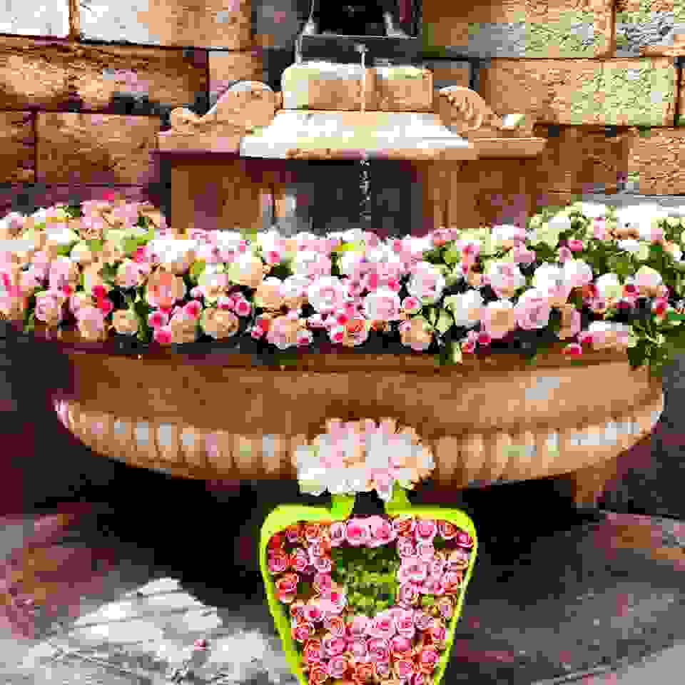 grasse-i-poli-ton-louloudion4.jpg