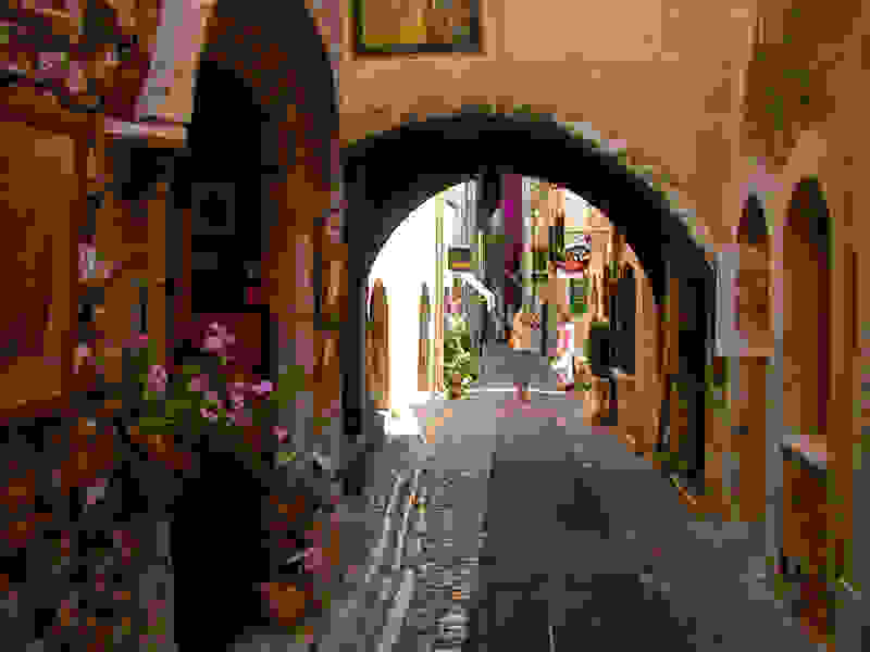 grasse-i-poli-ton-louloudion4f.jpg
