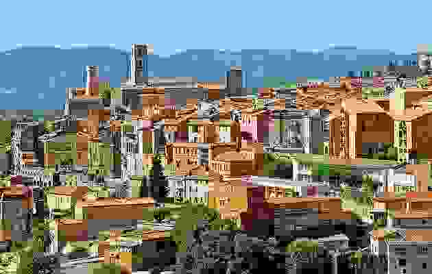 grasse-i-poli-ton-louloudion6d.jpg