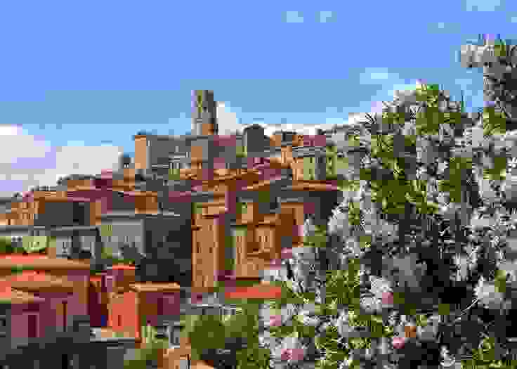 grasse-i-poli-ton-louloudion8.jpg