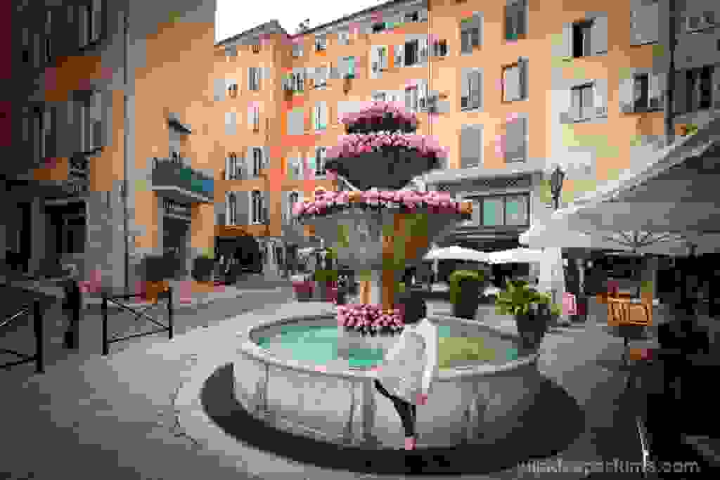 grasse-i-poli-ton-louloudion83.jpg
