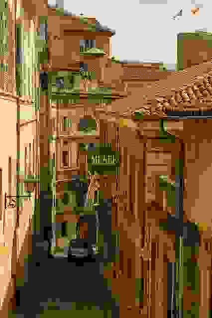 grasse-i-poli-ton-louloudion96.jpg