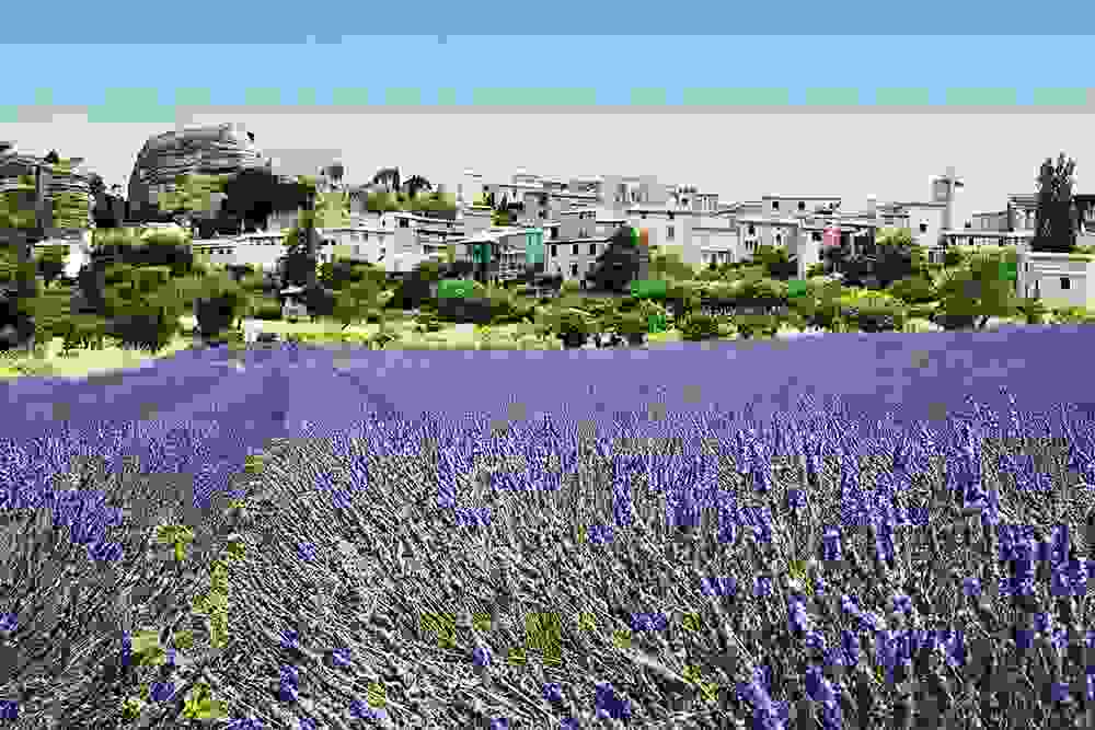 grasse-i-poli-ton-louloudionCover.jpg