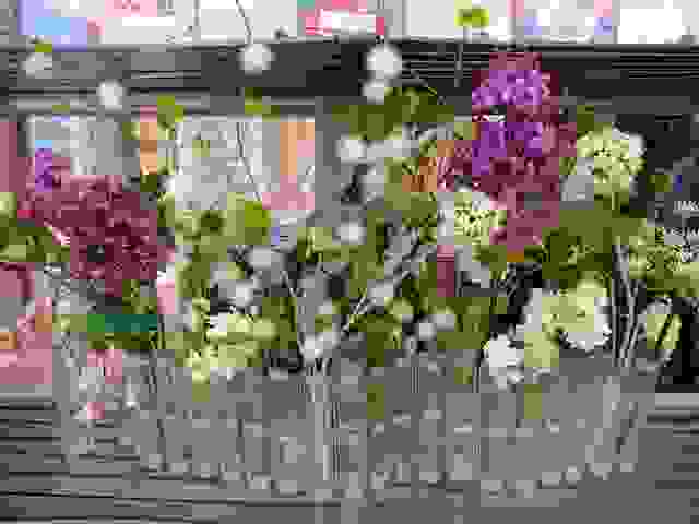 grasse-i-poli-ton-louloudionFlowers-in-Grasse.jpg