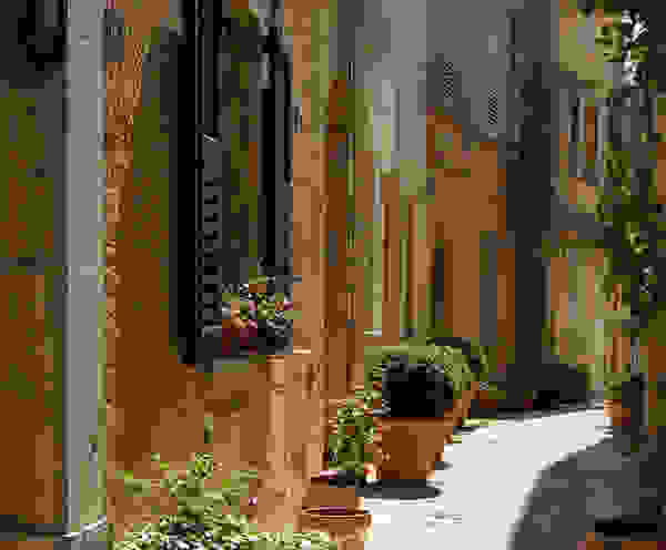 grasse-i-poli-ton-louloudiongrasse9.jpg