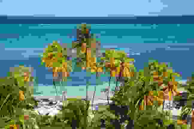 guardalavaca.jpg