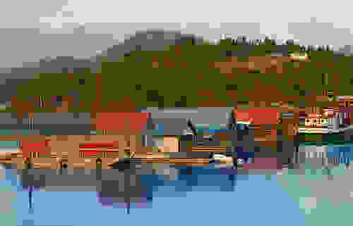 halibut11.jpg