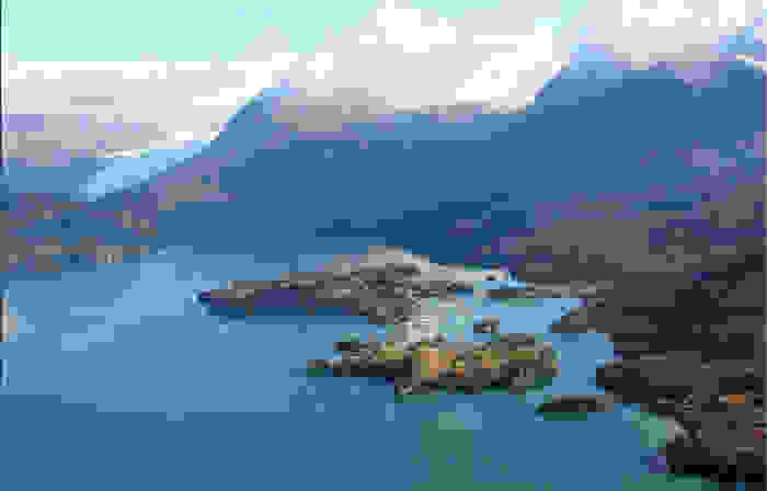 halibut4.jpg