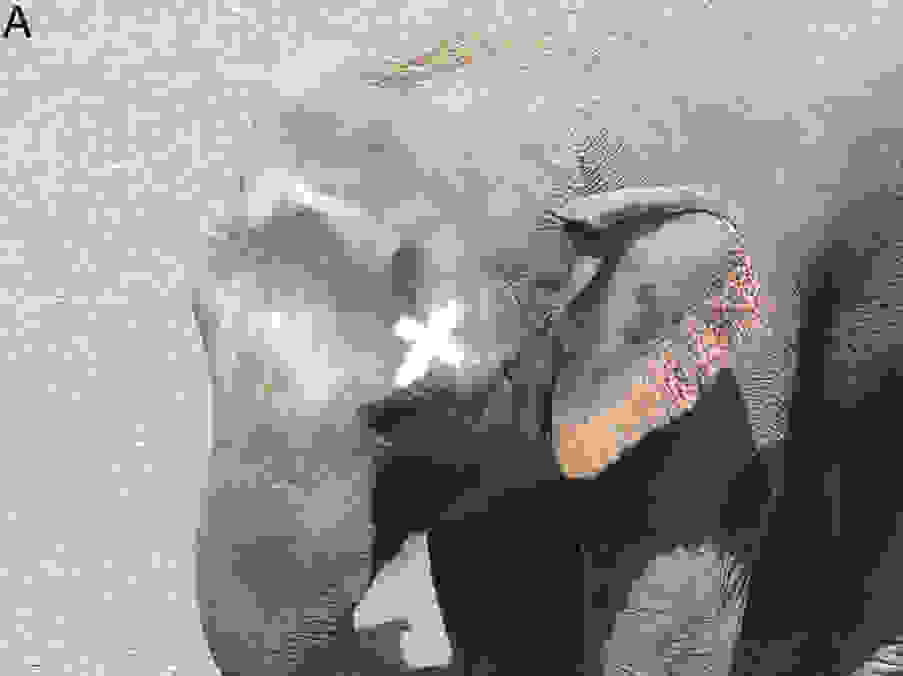 happy.jpg