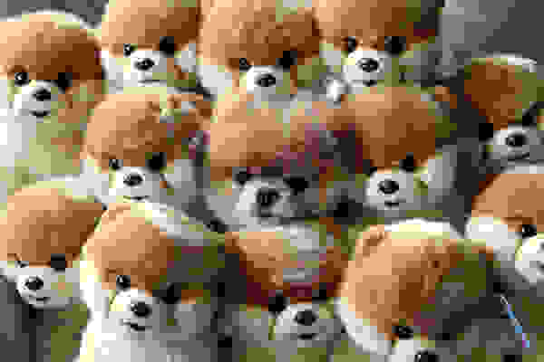 hiding-ninja-funny-dogs-231.jpg