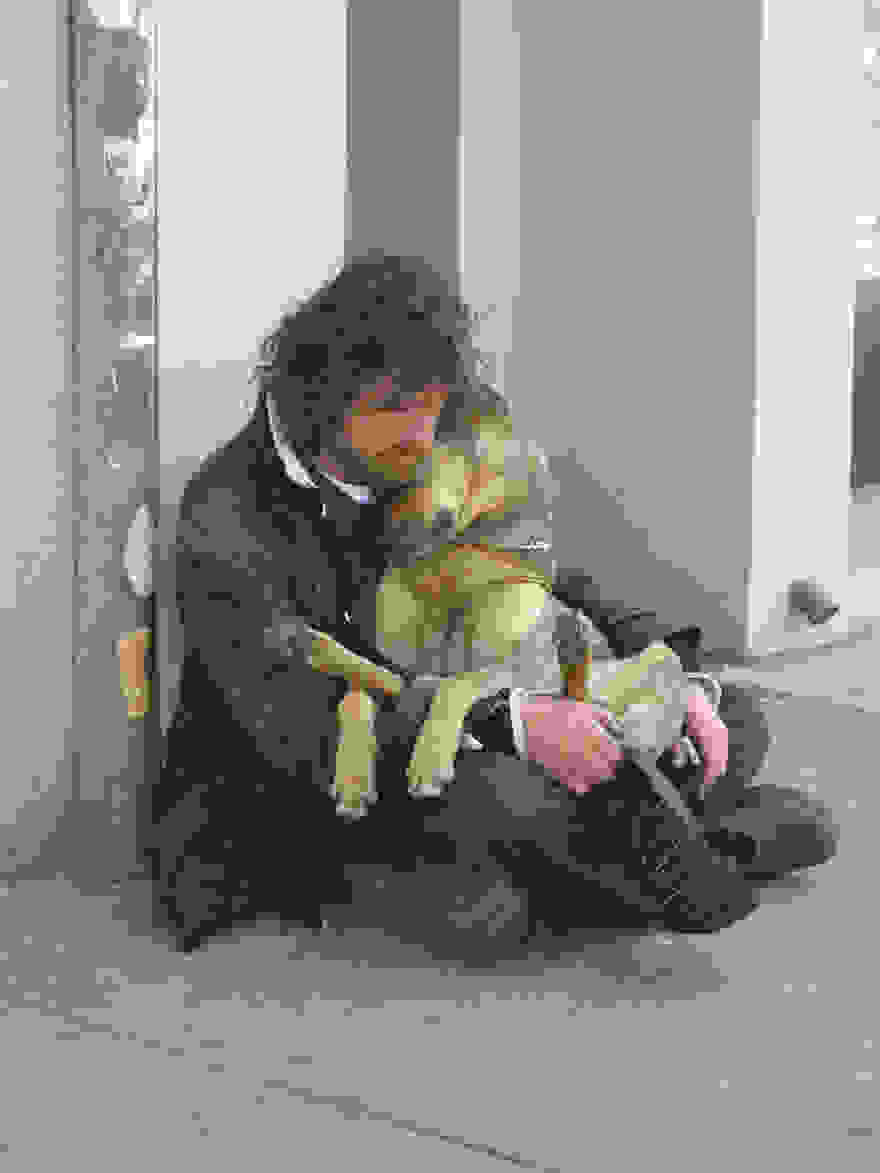 homeless-dogs-and-owners-1.jpg