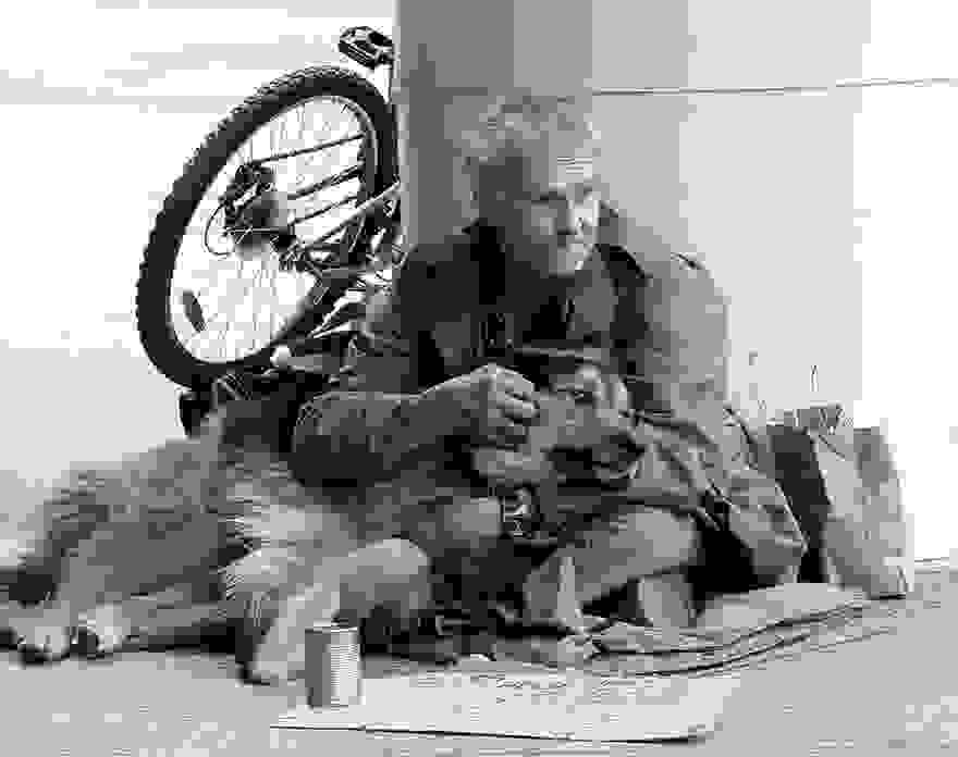 homeless-dogs-and-owners-16.jpg