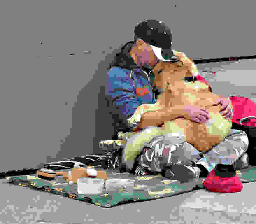 homeless-dogs-and-owners-3.jpg