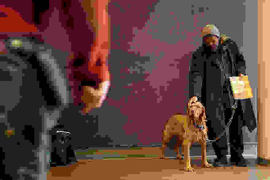 homeless-dogs-and-owners-8.jpg