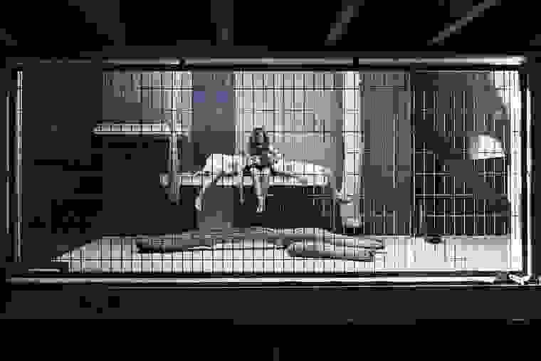 human-zoo-26.jpg