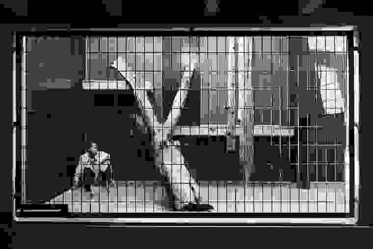 human-zoo-41.jpg