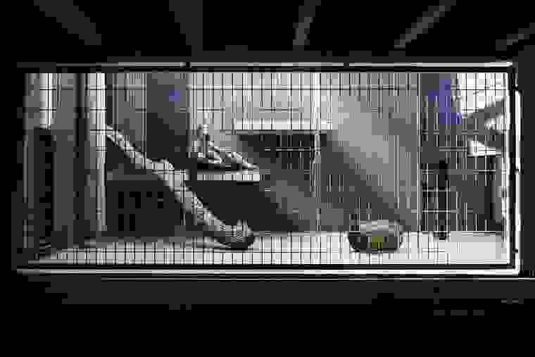 human-zoo-6.jpg