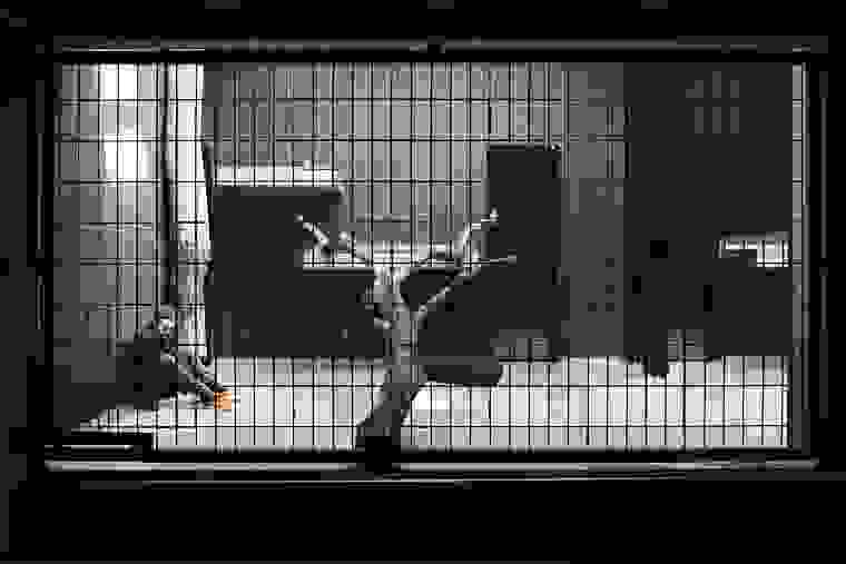 human-zoo-70.jpg