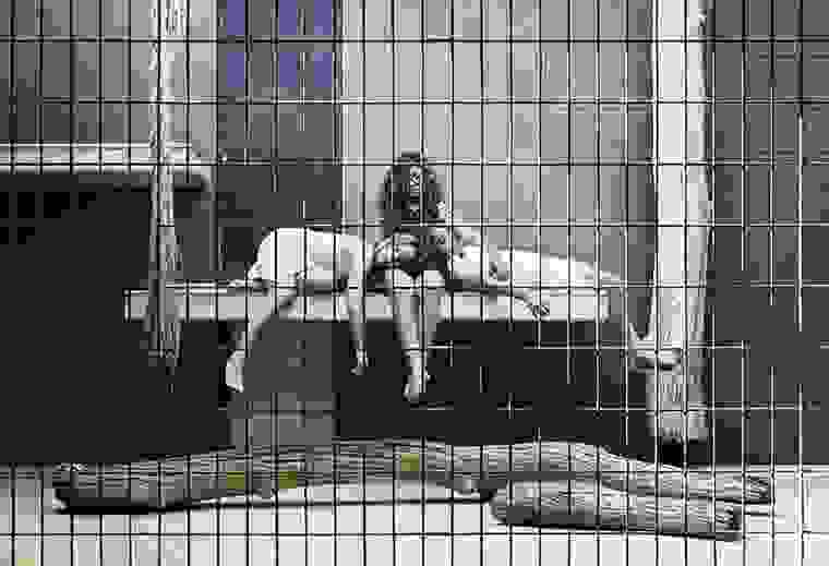 human-zoo-71.jpg