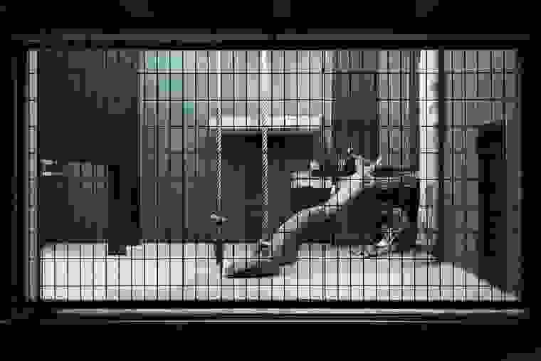 human-zoo-73.jpg